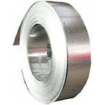 Stainless Steel Strip